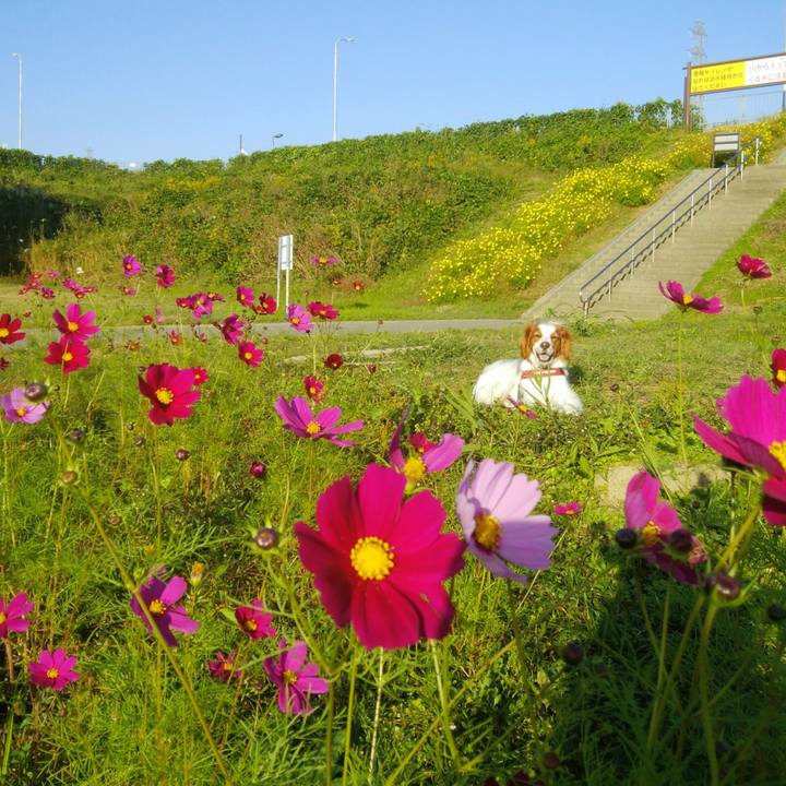 8ccebe75 8f78 4685 a585 b9a50ed14087 1540468103449