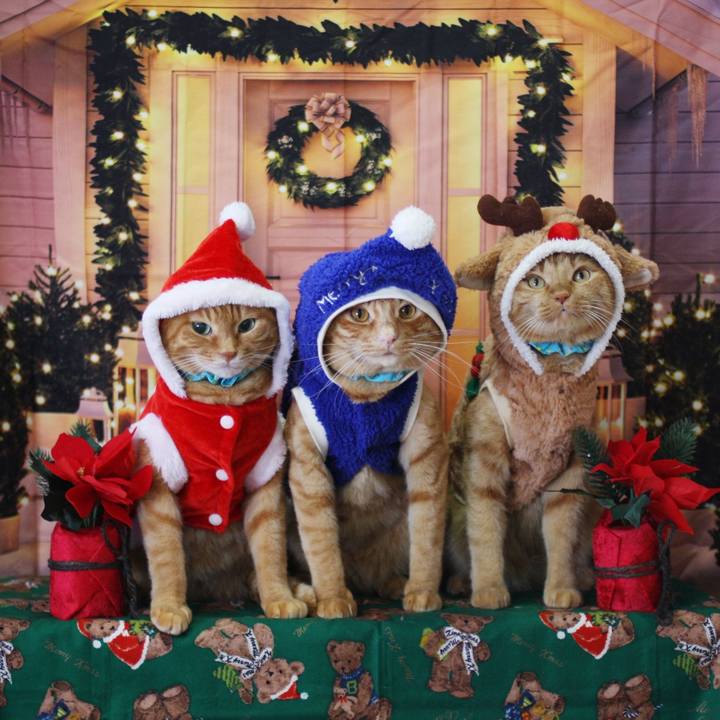 8cced3fb 8bdc 4675 947f ddc9de3f07ef 1735000960901