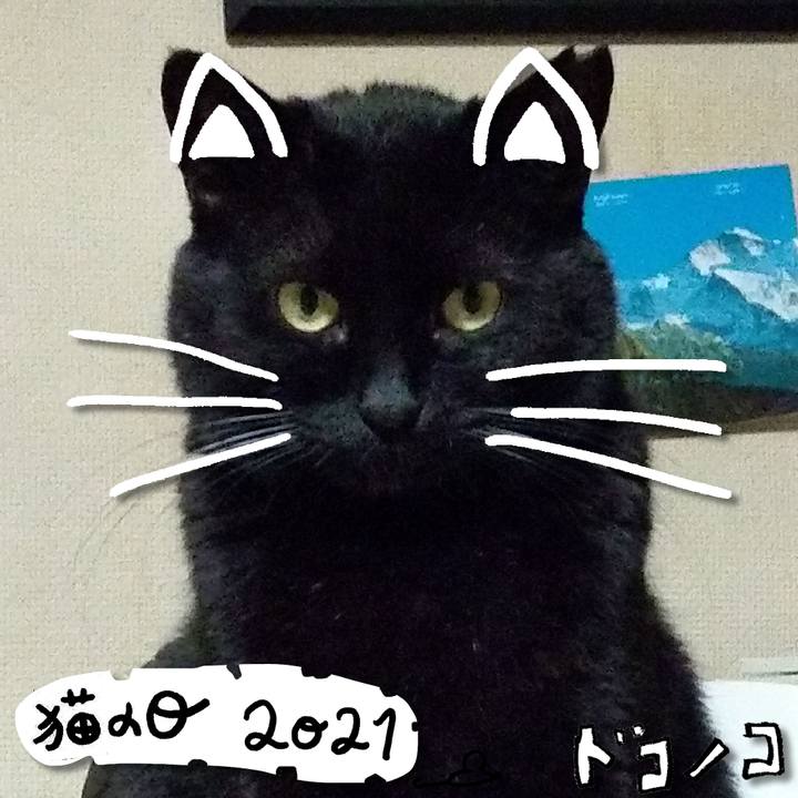 8ccedc2d 2a96 4aab b873 afbe63955dc1 1613997282021