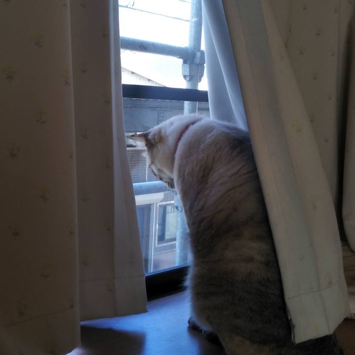 8ccedcc0 8fcb 45a5 a413 c3413a88d053 1603375216703