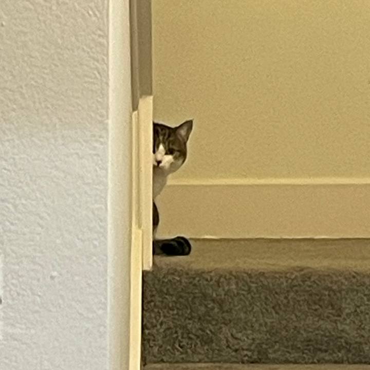 8ccf152f 4b89 4481 aaf0 d1cf9f3502c4 1769556707459