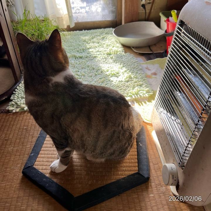 8ccf1999 1fce 4ffc 803e 8844d5b00b97 1770333973117