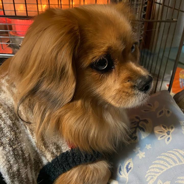 8ccf374b 7db8 43f6 940d 079cdb805daf 1610918842089