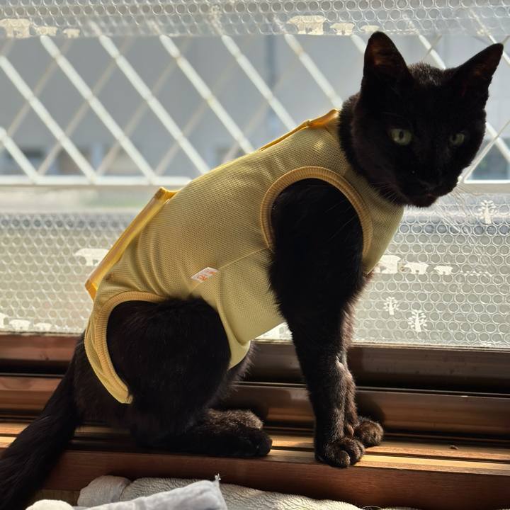 8ccf3a1a 1a8c 4dbb 85bb b15c7d1060d0 1713490842293