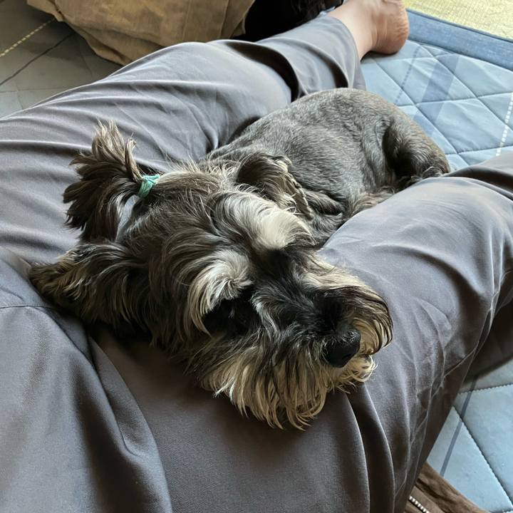 8ccf674b 6f6f 4006 96fa 10762c6036ad 1719668176925