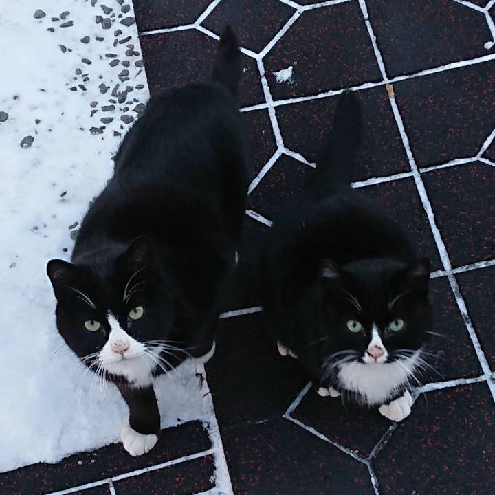 8ccfe299 5504 420b 928c d370131315f5 1547908128639