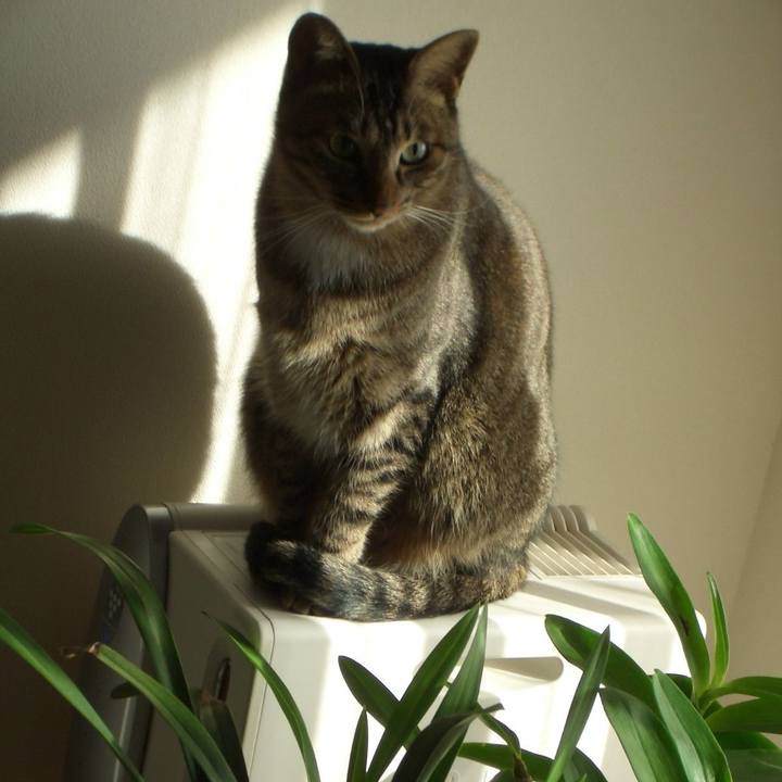 8ccff6d0 2e5e 4bfe ad52 6236239032cb 1545650170862