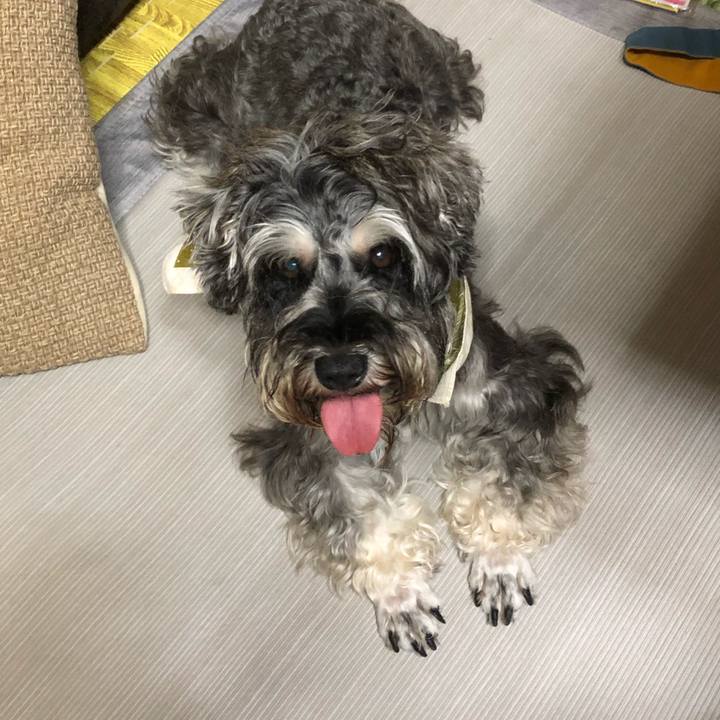 8ccff8bf 66c2 4ae5 a17b d0b4c649a443 1566052949338