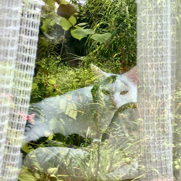 8cd00246 b68a 430d 9e96 401a73373b69 1565839032142