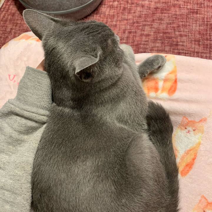 8cd0804e b612 41da 93d8 04bf64af2ce1 1581110191245