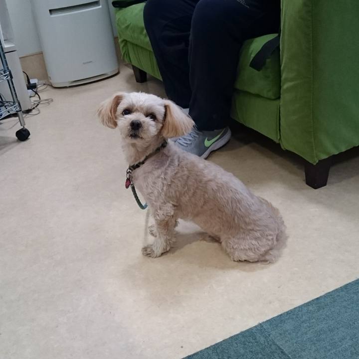 8cd0dfeb cbe1 4ab0 8cc2 c0a34660dd56 1608340468279