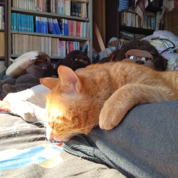 8cd0ec86 ed67 4c8f b2ff 29934785ae59 1679458002611