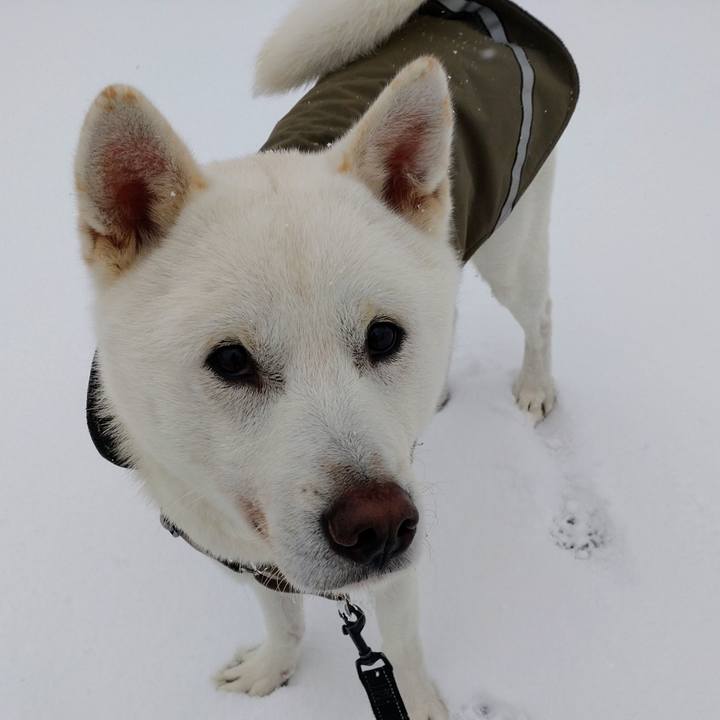 8cd0f66c 15d0 47c1 80fb 1142a7c26465 1640490647452