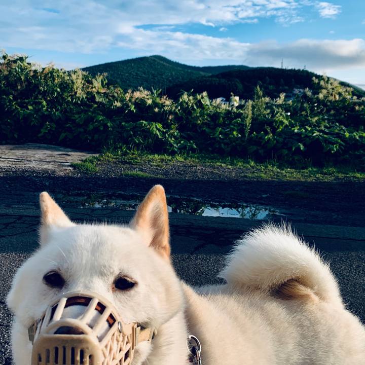 8cd124c5 f7bb 4cb1 85b7 a27c32f04a8b 1566426704343