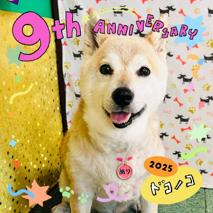 8cd1414f d40c 44ba 9829 a7ae79de6e9a 1749127301339