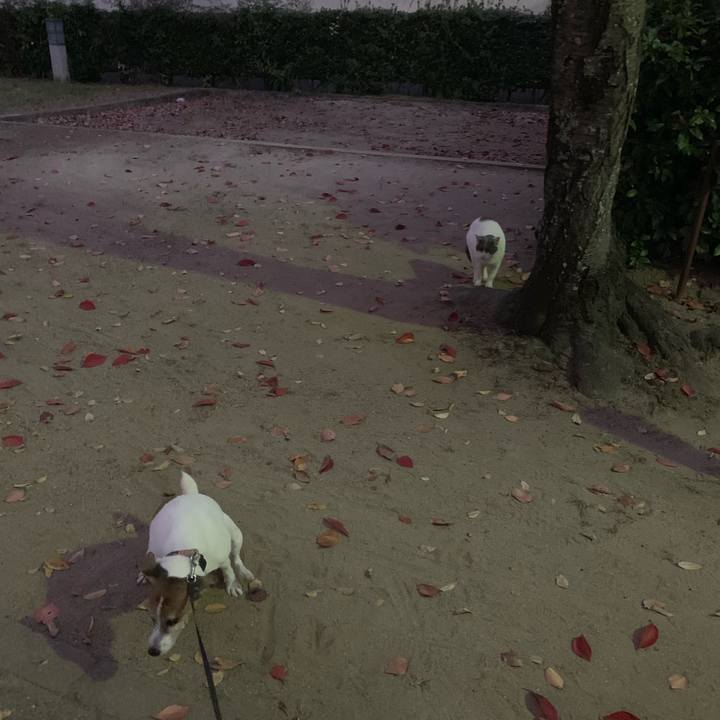 8cd16198 8532 486b a612 2a63cf3b2c76 1541324126470