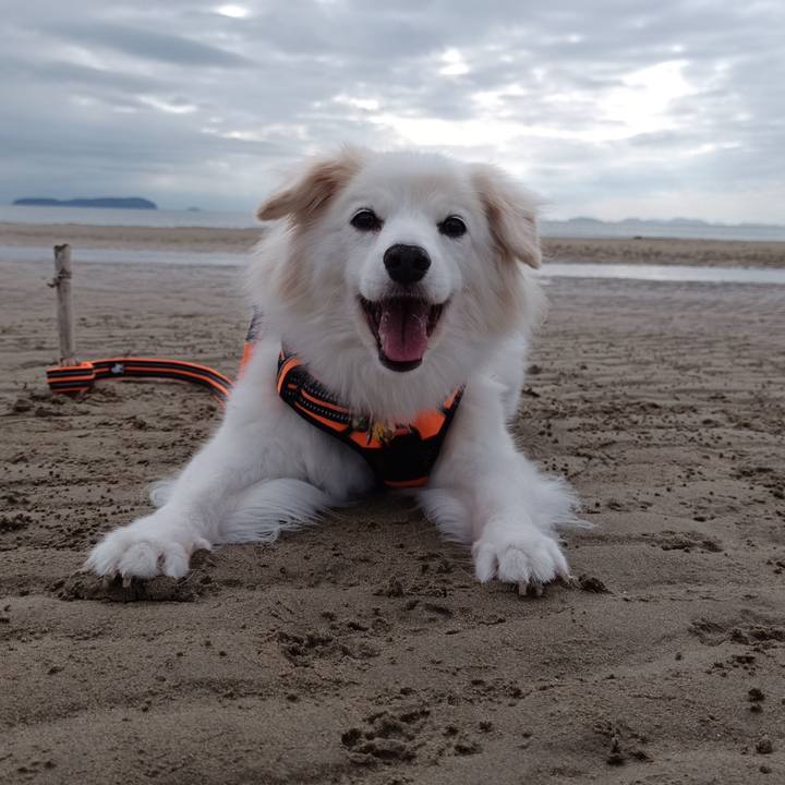 8cd17e0e 877a 48e5 b915 b244ee6ad8c9 1728109313121