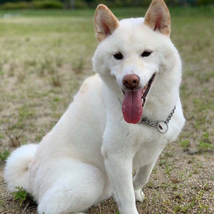 8cd18437 fded 4cbd a78b 48a47b50d517 1563142126173