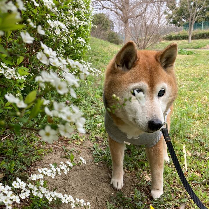 8cd18e69 375f 46f4 a1a1 feebb24efb1b 1774238878576