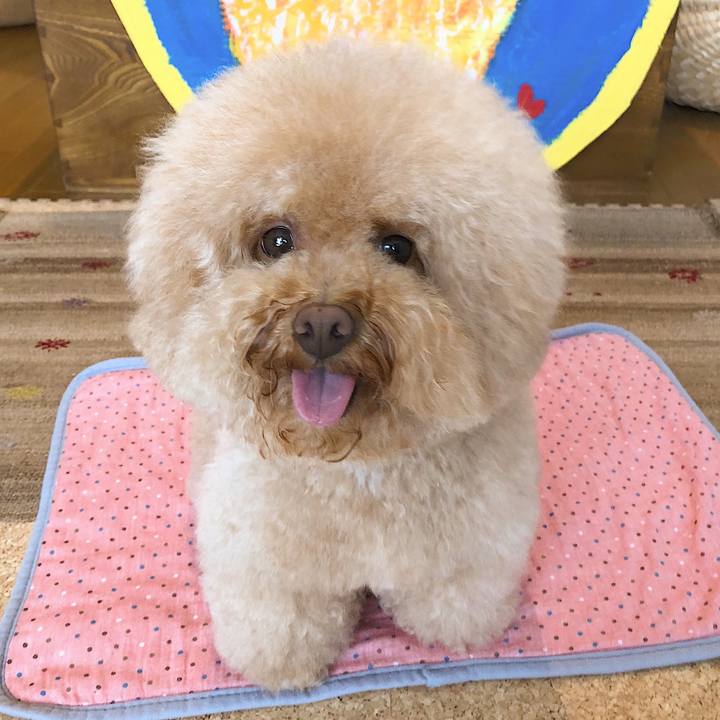 8cd197d6 1160 4391 aa17 40cb615f2559 1532422507804