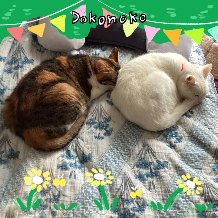 8cd19cab 6f8e 4829 b951 119e26734748 1711105851362