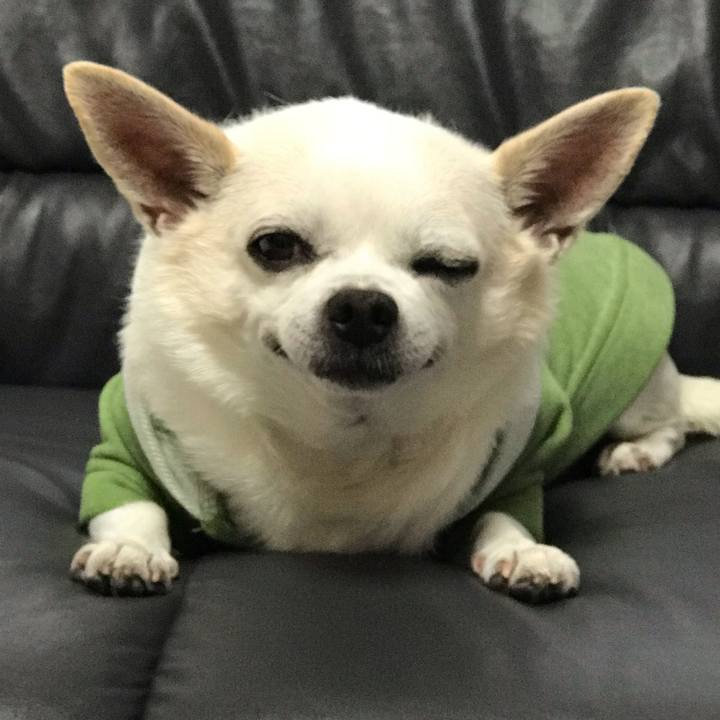 8cd1abc2 59d5 4ad8 b465 20f1dfadb91b 1573041559942