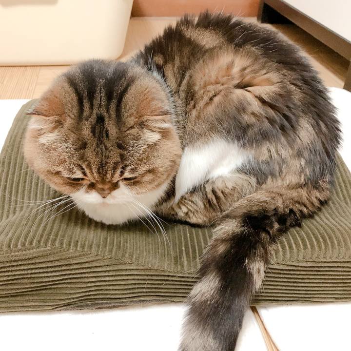 8cd1ef3c 49e2 44fe 9c2e 2a1fbd192086 1585822696862