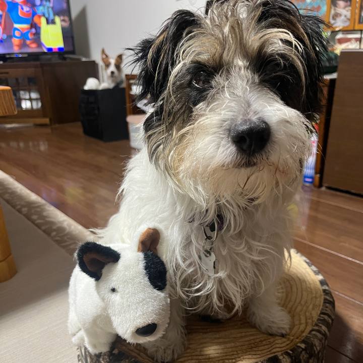 8cd1f1ad 367e 404d b7d2 b2a16d374829 1761916323864