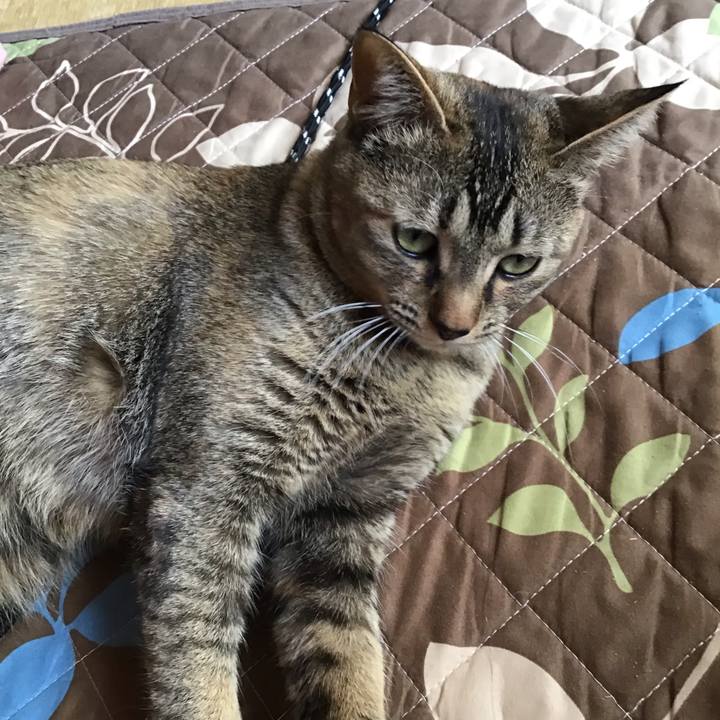 8cd20b67 24f6 461d 8544 2e2456742c46 1585185631374