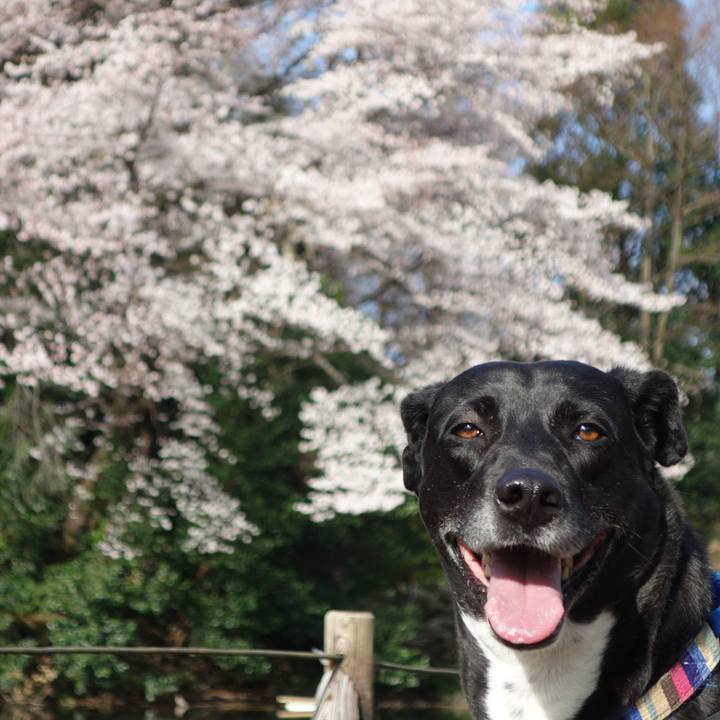 8cd24d10 edb4 4781 b335 3fe56acfd9f1 1648342818167