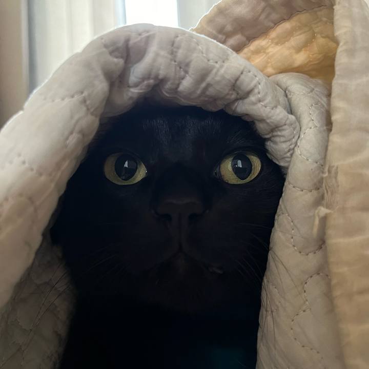 8cd2722e 59c1 45f0 a132 d70b96683a2f 1720999921657