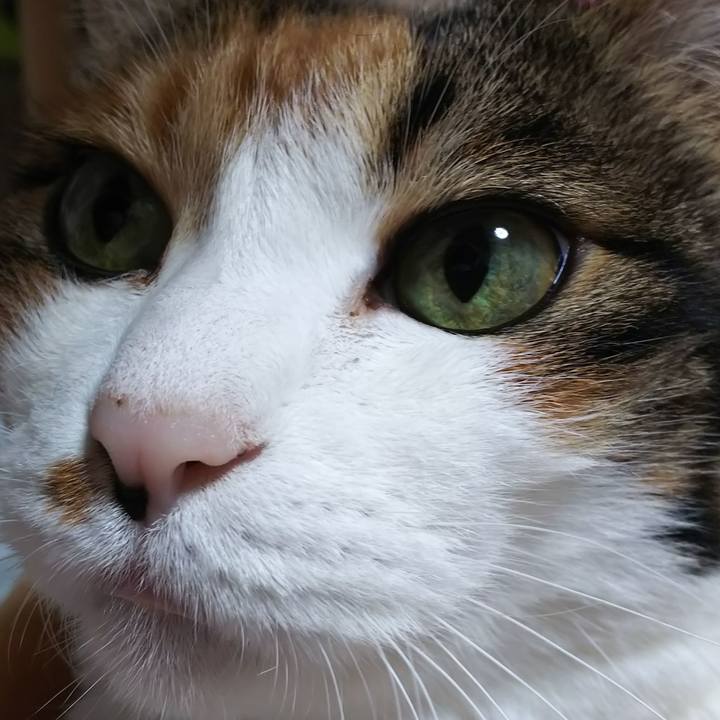 8cd2d3cc fcdc 43a8 b67c fb965429803c 1572093742200