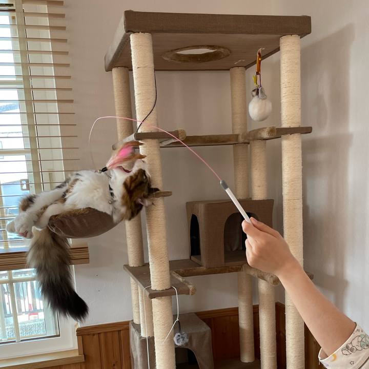 8cd2e400 f09f 4943 b7d9 c25d388940b4 1649556539197