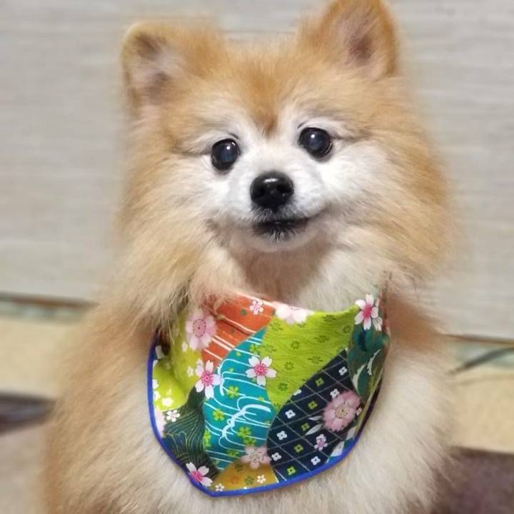 8cd2ec62 fa1a 408b aba9 163028591579 1546269336618