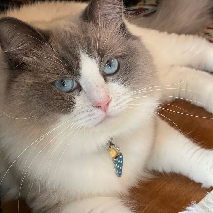 8cd2f1f3 b448 4375 b97d bf57d289d748 1654134214825