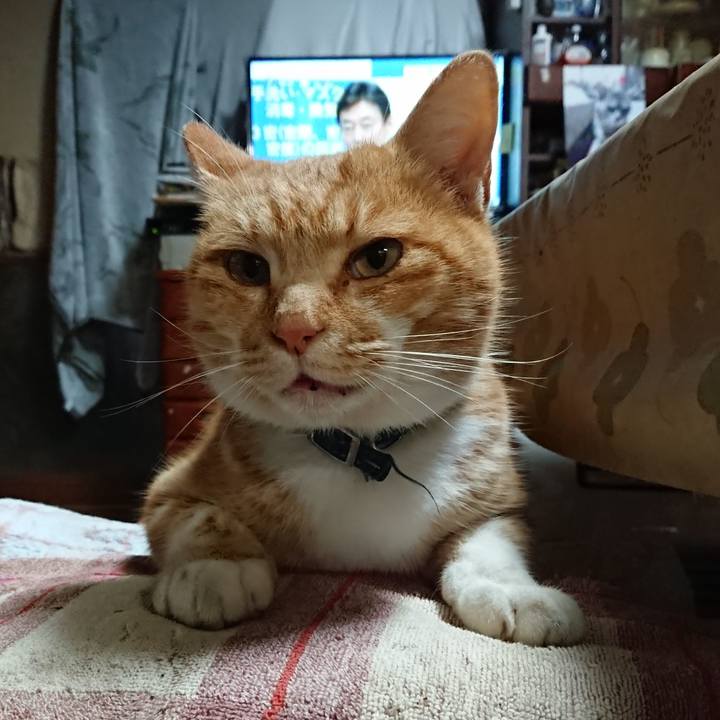 8cd324b2 283f 4c1e ba89 ef6e7dc50f4f 1606343953193