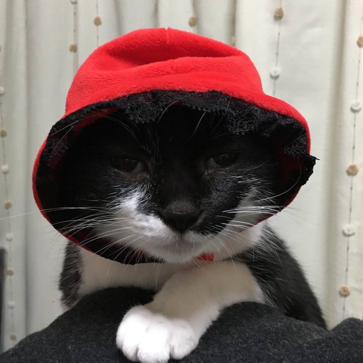 8cd339f0 0659 411c b6a0 e08d268a8c84 1515839062626