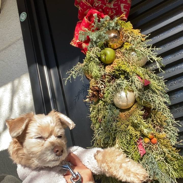 8cd345e8 93b3 42d1 a9a6 2a69378c53fa 1703554034724