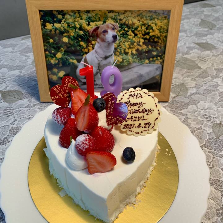 8cd34f9f 055d 41ce bf87 e690cd83ff03 1619526228946