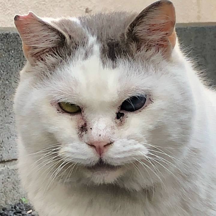 8cd365d6 450b 4666 8ad6 0a8944a2b145 1553089841828