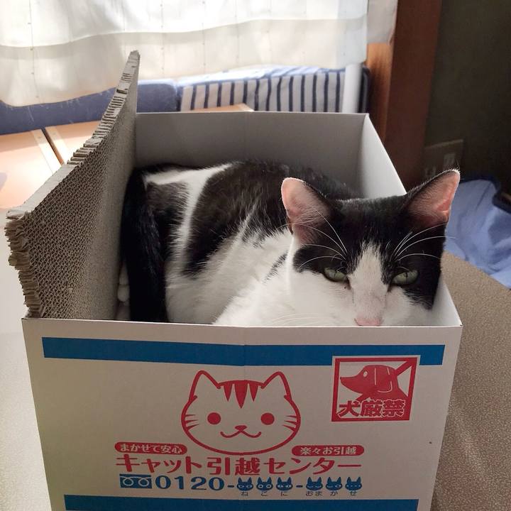 8cd380e7 3031 41ec 97da 8ca5cbfefd7b 1534038860374