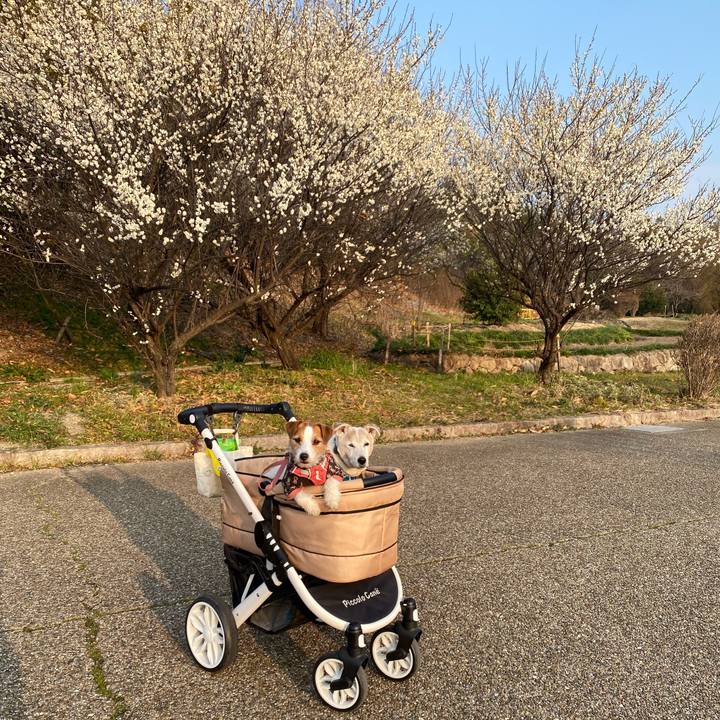 8cd383e5 ef96 47ff b211 90698c1eae8c 1707652757801