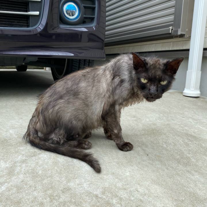 8cd3bf7a 48bb 4447 a5ac 21e753454795 1659587797965