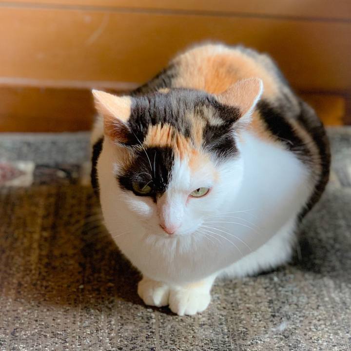 8cd41069 0fac 47f2 9439 0db47520420f 1558231168363