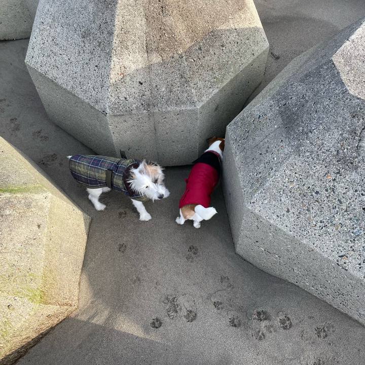 8cd42a43 9324 4ffe bb59 c12398d8ac27 1644712843454