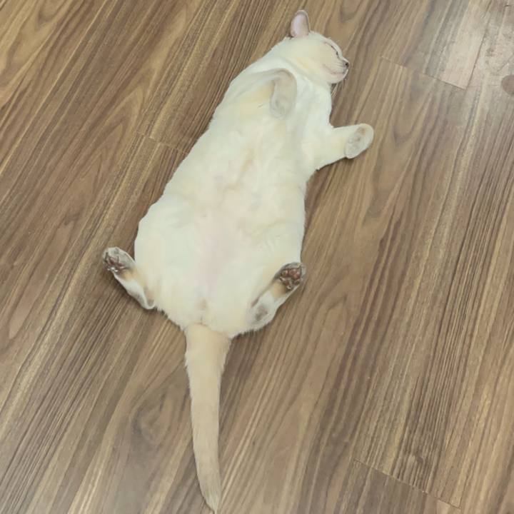 8cd473d6 89c5 465a b59c 520f0de86141 1738985598233