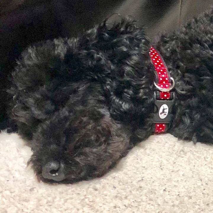 8cd4a69f 3c76 40ac ac21 462efb11499f 1556890478744