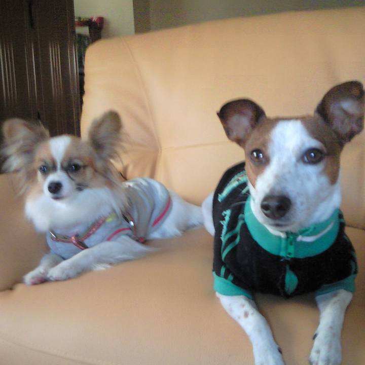 8cd4ff4e d394 4a0f 8d75 fadd189d7a04 1539266044758