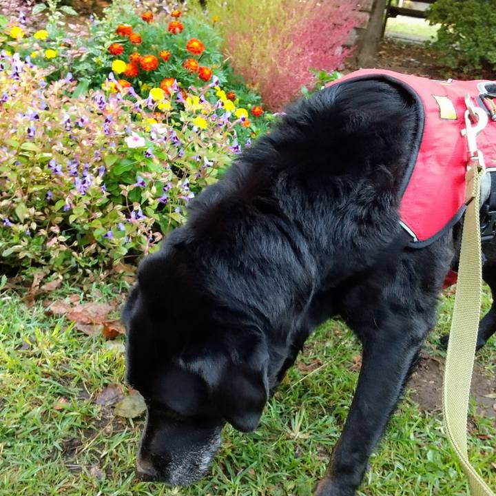 8cd4ff95 64a4 4704 a4d9 eb50c6ad2340 1698274959905