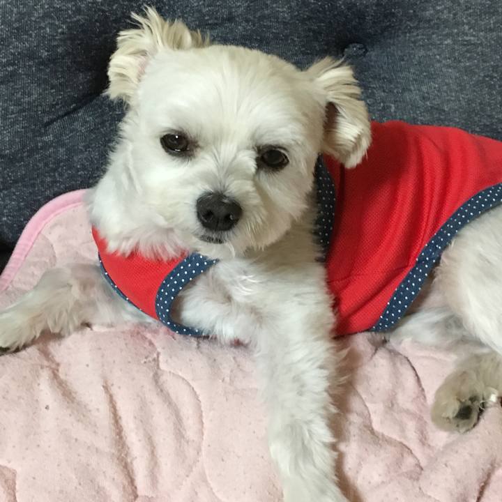 8cd60507 f839 41dc 88e2 46781d57dfb5 1538994305934